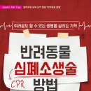 운정힐링 동물병원 이미지