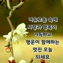 당진 왜목마을 공연소식 이미지