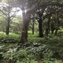 연이네민박 이미지