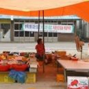 좌일5일시장 이미지