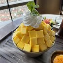 3875 | 하노이 맛집 롯데호텔 38층 망고빙수 서호 전망대