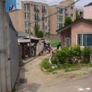 흥덕초교 이미지