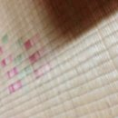 민박바당집 이미지