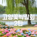 햇빛주는 약국 | 2026 고양국제꽃박람회 수국 위치 가볼만한 포인트 먹거리 방문팁