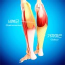 고명호 | 노원역보톡스 시술 만족도 높은 곳에서 보여드리는 종아리보톡스후기입니다