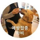 365신원당동물병원