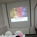 로얄컨설팅 이미지
