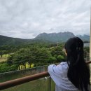중보1길36~중보1길16~중보로7 주변 | [임신 후기 36주 국내 태교 여행] 속초 2일차: 속초생대구 생대구탕, 두레 에그타르트, 속초중앙시장...