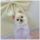 털래털래 애견미용실 이미지