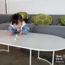 아야진작은집 | 강원도 고성 아야진 카페 애견동반 카페 스위밍터틀 내돈내산