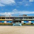 마도초등학교 이미지