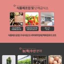 메디클루 | 장난감소독제 메디클퓨어로 세균걱정 끝!