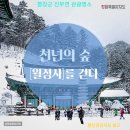 진부역공인중개사사무소 | 평창 진부 새정부AI데이터 센터 호재 및 백억대 석산개발 황금알+ 임업 복합자산 자연이 증명한 입지...