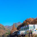 쑥부쟁이(용산저수지)둘레길 | [기자단] 음성 데이트코스 용산저수지 쑥부쟁이 둘레길