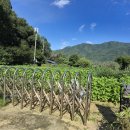 성중농장 이미지