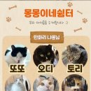 몽이네쉼터 이미지