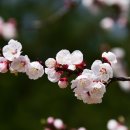 드림파크 이미지