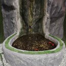 미진수영장 이미지