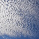 행복한순대 이미지