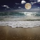 서강정형외과의원 이미지