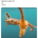 송지메기매운탕 이미지