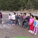 바다유치원 이미지