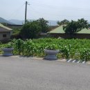 장동면 행정복지센터 이미지