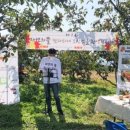 하늘뜰 농장 이미지