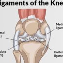 메디포스 운동 재활센터 이미지