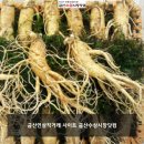 금산수삼시장닷컴 - 82214 | 금산수삼시장닷컴