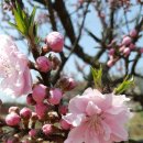 들뫼풍경 이미지