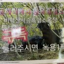 동해사슴목장 이미지