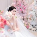 CN베이비 | 본식 스냅 서사포토그라피/계산 CN웨딩홀 베르테홀/개인 페이백 2.5만원+짝꿍 할인 5만원