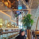 마블러스 | 마카오#2 - 'W 마카오 스튜디오 시티' W 호텔, 마블러스 스위트, Marvelous Suite 후기 (2025.2.16~2.20)