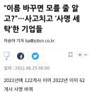 마미팜스