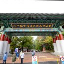 설악산 비룡폭포의 웅장한 물줄기 이미지