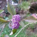 사각하늘 이미지