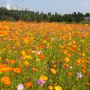 삼아농장 이미지