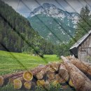 군불로관광농원 이미지