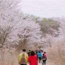 산꽃미술관 이미지