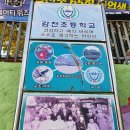 감천초교병설유치원 이미지