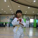 신흥 태권도 이미지