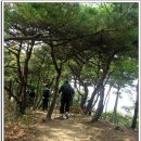 문수산 산림욕장 이미지