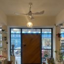 당당이 애견 이미지