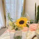 상남동266 이미지