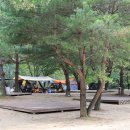 별빛캠핑장 이미지