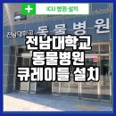 월드펫동물병원 | 전남대학교 동물병원 입원실 큐레이들 펫 인큐베이터 설치! 동물병원 입원장 설치후기