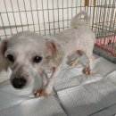 대천2동사무소 이미지