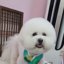 너애개만 이미지