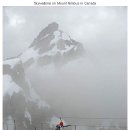 소망행정사사무소 이미지